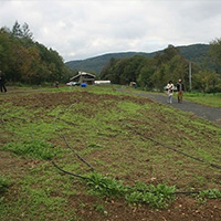 project